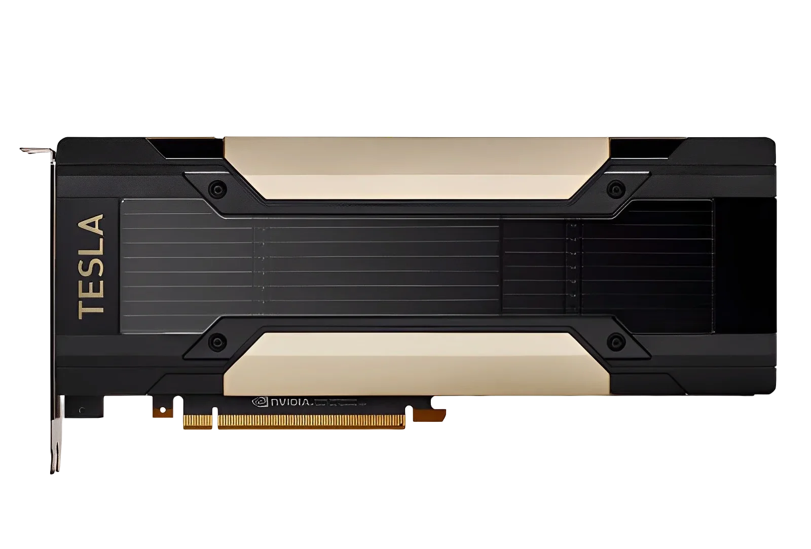 V100/P100/T4/P4/P40/M10/M40 GP - огляд і ціна Ddr5 8Gb